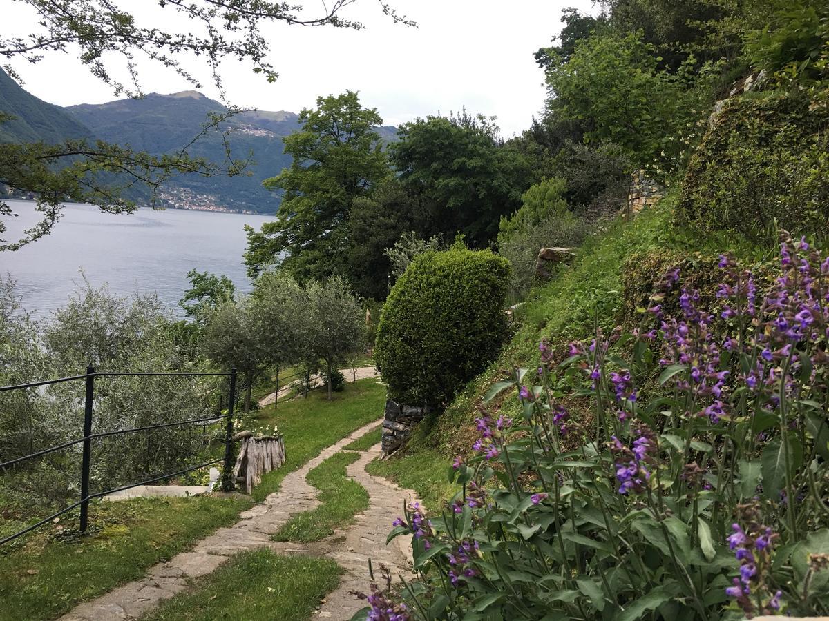 Casa Vacanza Castagna Nesso Exterior foto